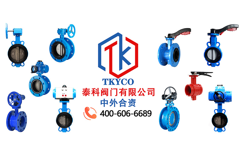 1685325869.jpg tktyco新聞圖.jpg